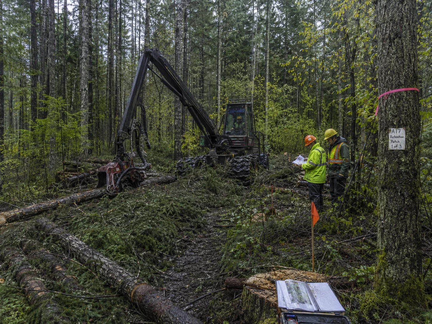 A careful cut-to-length forestry operation in a mixed-age Canadian forest with retained trees, understory, brush mats, and field inspection.